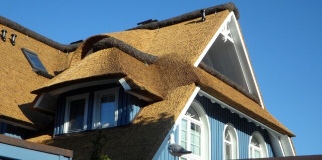 2-Toiture en roseaux