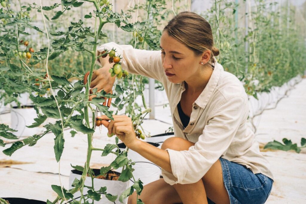 7-Les exigences environnementales pour l’élagage et l’abattage à Arpajon (1)