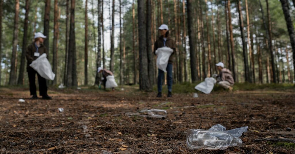 découvrez des solutions efficaces pour la gestion des déchets afin de protéger l'environnement et favoriser le développement durable. apprenez comment optimiser le tri, le recyclage et la valorisation des déchets pour réduire leur impact sur notre planète.